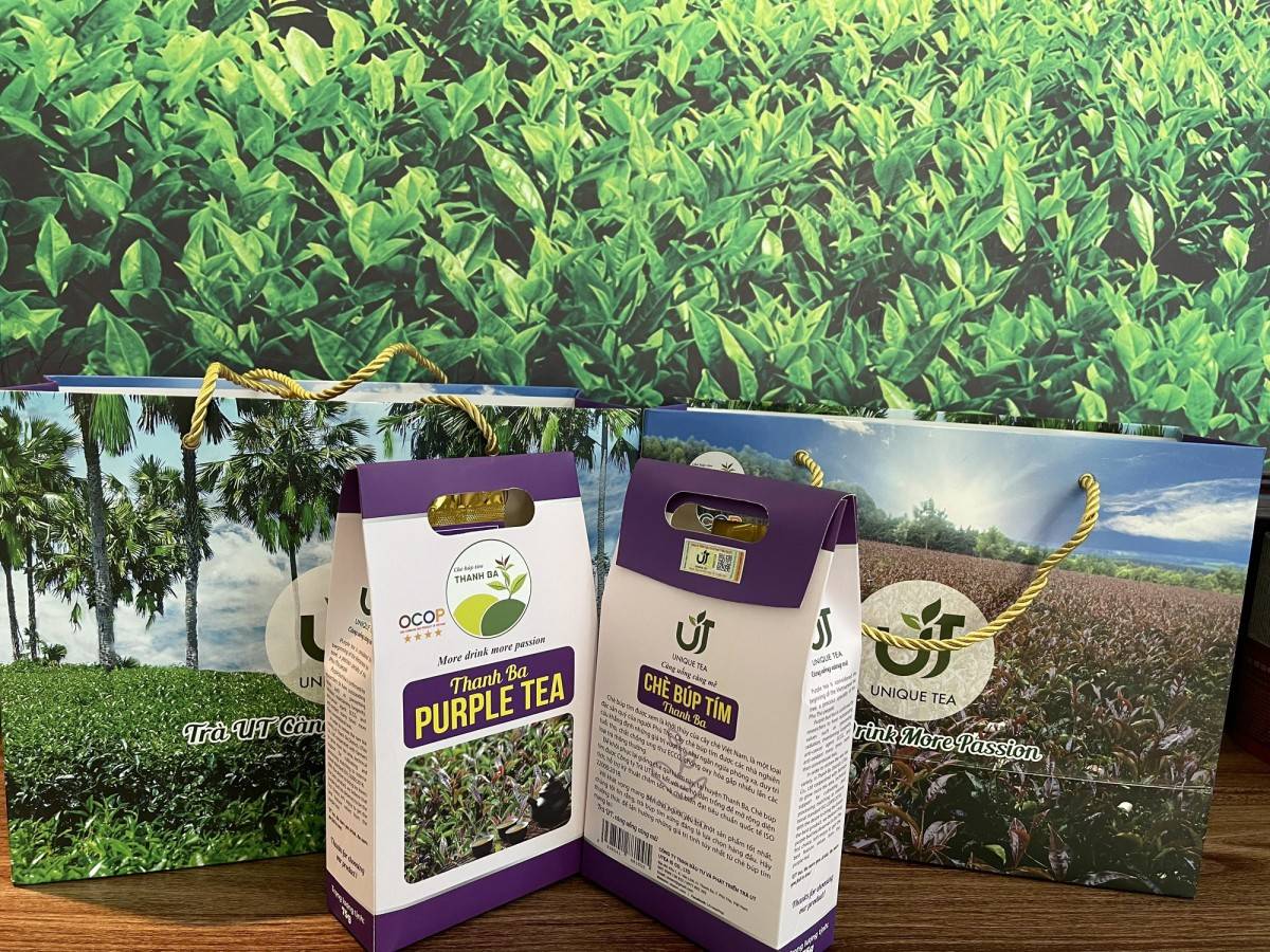 Doanh nghiệp Phú Thọ nâng tầm nông sản địa phương qua OCOP Doanh nghiệp Phú Thọ nâng tầm nông sản địa phương qua OCOP