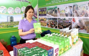 Doanh nghiệp Phú Thọ nâng tầm nông sản địa phương qua OCOP
