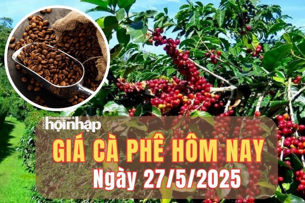 Giá cà phê hôm nay 27/5/2025: Trong nước ổn định, thị trường thế giới chịu sức ép từ cung – cầu