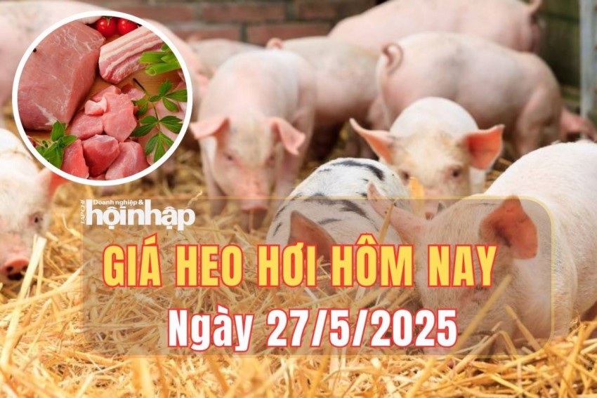 giá heo hơi