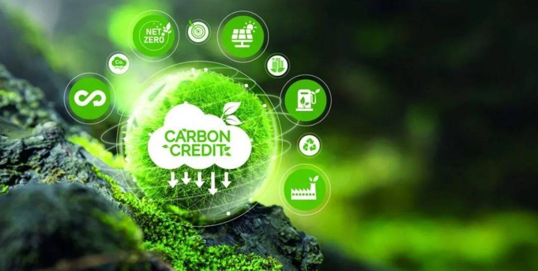 Việt Nam đẩy nhanh thị trường carbon để đạt mục tiêu Net Zero năm 2050