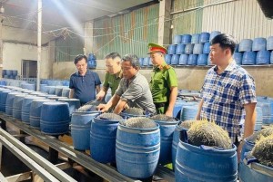 Lào Cai triệt phá hai cơ sở dùng hóa chất độc hại sản xuất hơn 300 tấn giá đỗ