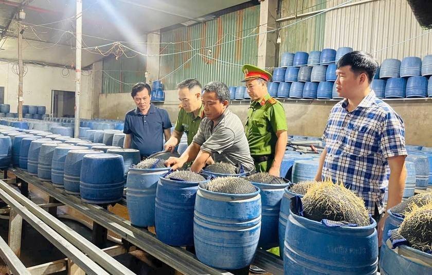 Lào Cai triệt phá hai cơ sở dùng hóa chất độc hại sản xuất hơn 300 tấn giá đỗ Lào Cai triệt phá hai cơ sở dùng hóa chất độc hại sản xuất hơn 300 tấn giá đỗ