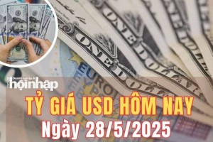 Tỷ giá USD hôm nay 28/5/2025: Đồng USD thế giới quay đầu tăng nhẹ