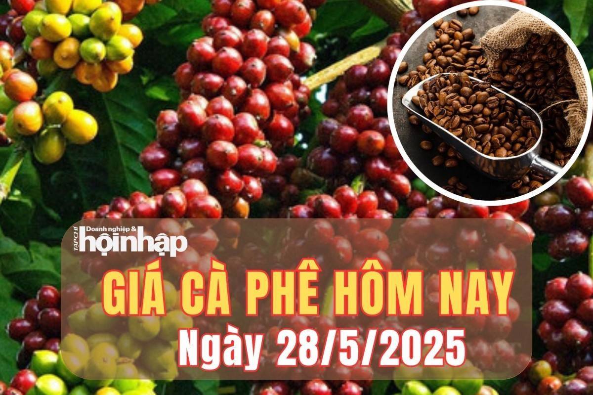 Giá cà phê hôm nay 28/5/2025: Giá cà phê thê giới tăng giảm trái chiều, trong nước bật tăng trở lại