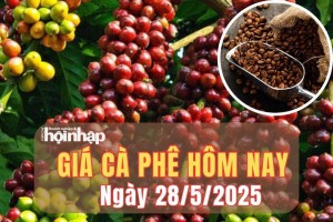 Giá cà phê hôm nay 28/5/2025: Giá cà phê thê giới tăng giảm trái chiều, trong nước bật tăng trở lại