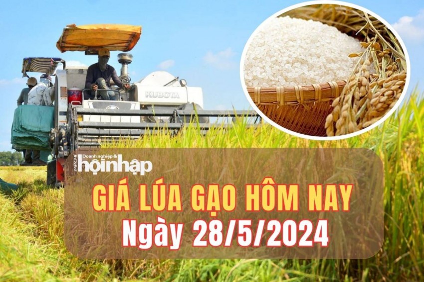 giá lúa gạo