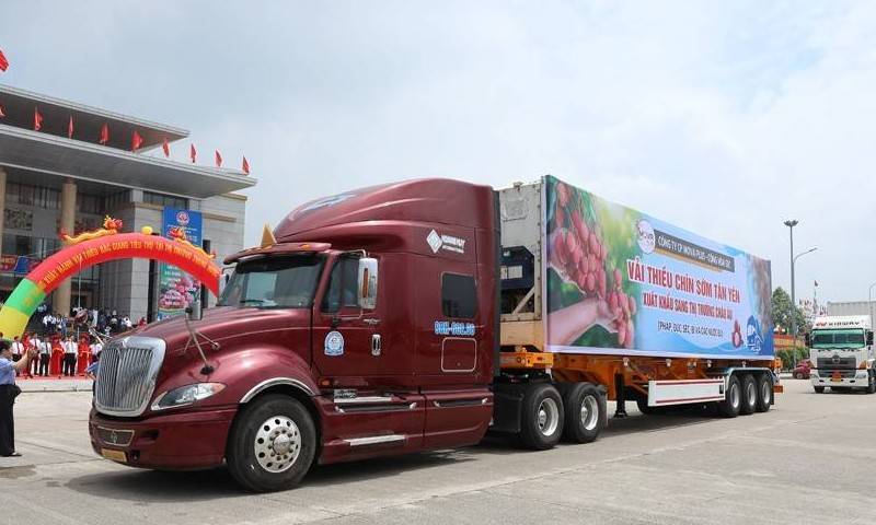 Tạo cơ chế thuận lợi cho nông sản xuất khẩu