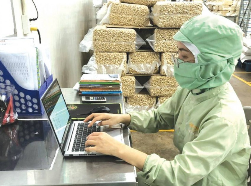 4 điều kiện hưởng trợ cấp thất nghiệp năm 2025