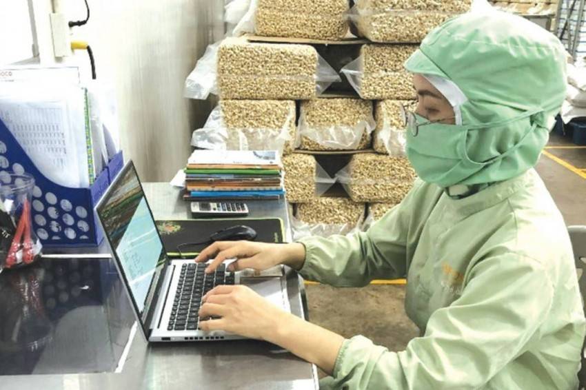 4 điều kiện hưởng trợ cấp thất nghiệp năm 2025