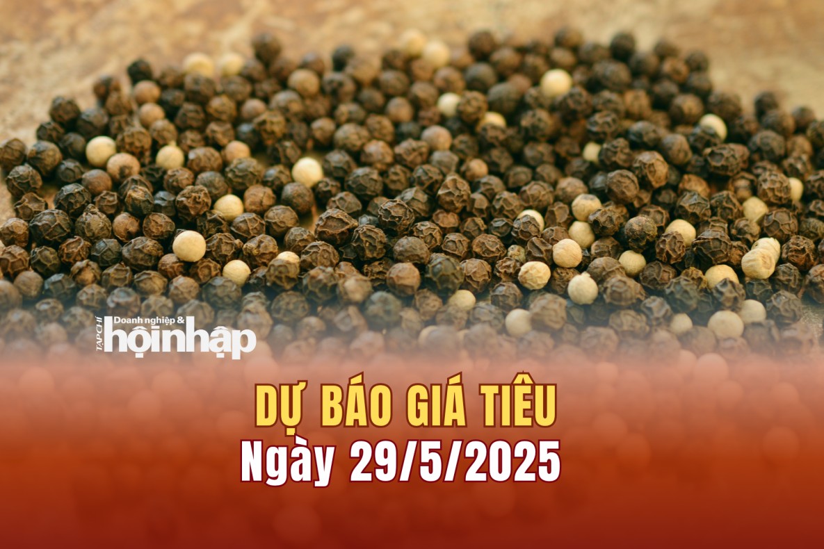 Dự báo giá tiêu 29/5: Giá tiêu trong nước ổn định, thế giới tăng - giảm trái chiều