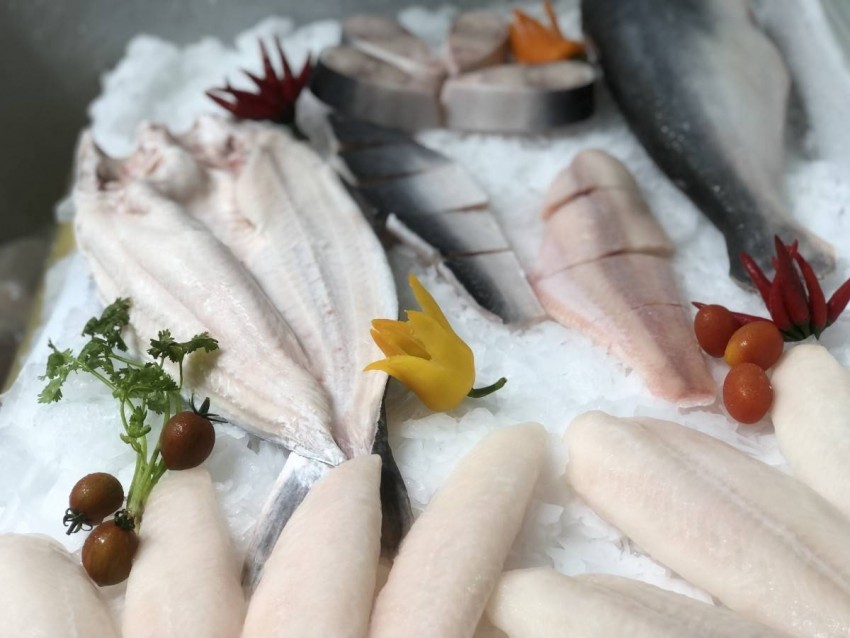 Mở lối đi riêng: Cá tra Việt Nam và chiến lược chinh phục thị trường ngách toàn cầu