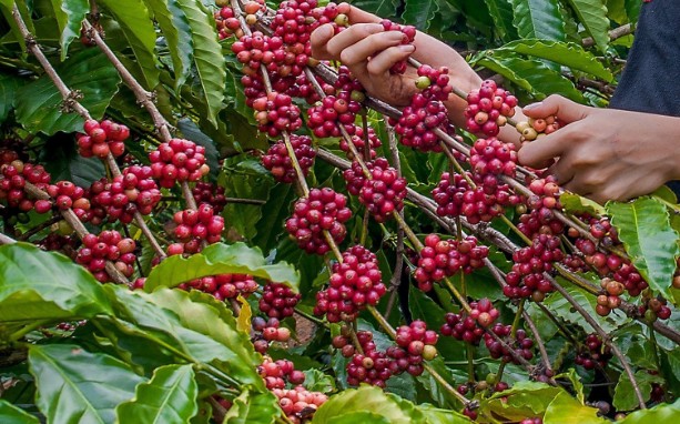 Định vị thương hiệu quốc gia: Đường đi nào cho Việt Nam?