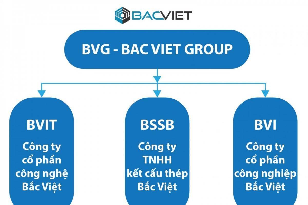 Group Bắc Việt bị phạt 365 triệu đồng vì loạt sai phạm trong lĩnh vực chứng khoán