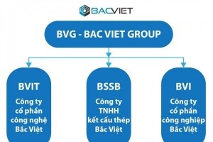 Group Bắc Việt bị phạt 365 triệu đồng vì loạt sai phạm trong lĩnh vực chứng khoán