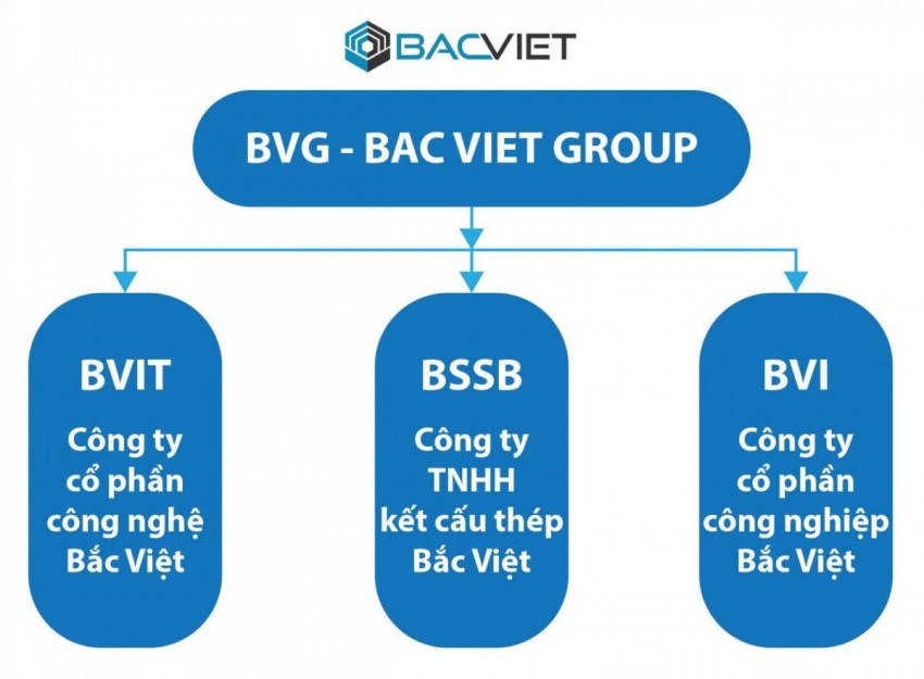 Group Bắc Việt bị phạt 365 triệu đồng vì loạt sai phạm trong lĩnh vực chứng khoán