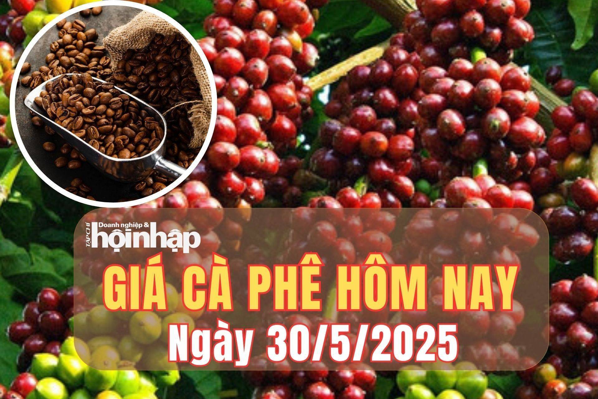 Giá cà phê hôm nay 30/5/2025: Giá cà phê trong nước tiếp đà giảm mạnh tới 2.200 đồng/kg, thế giới chạm đáy 6,5 tháng