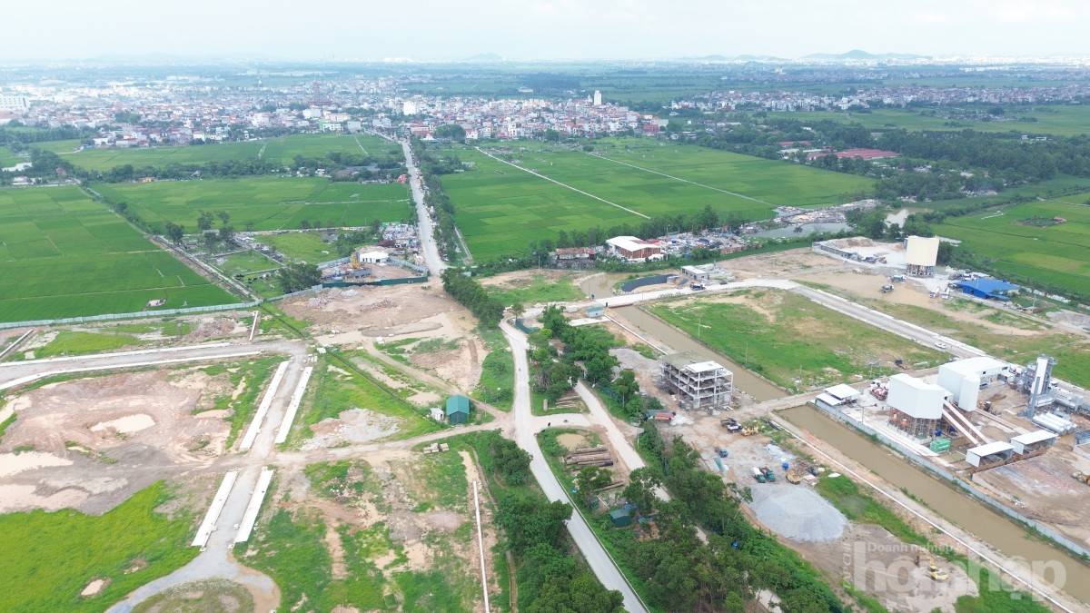 TS. Trần Xuân Lượng: Mở khóa mặt bằng sản xuất, không còn