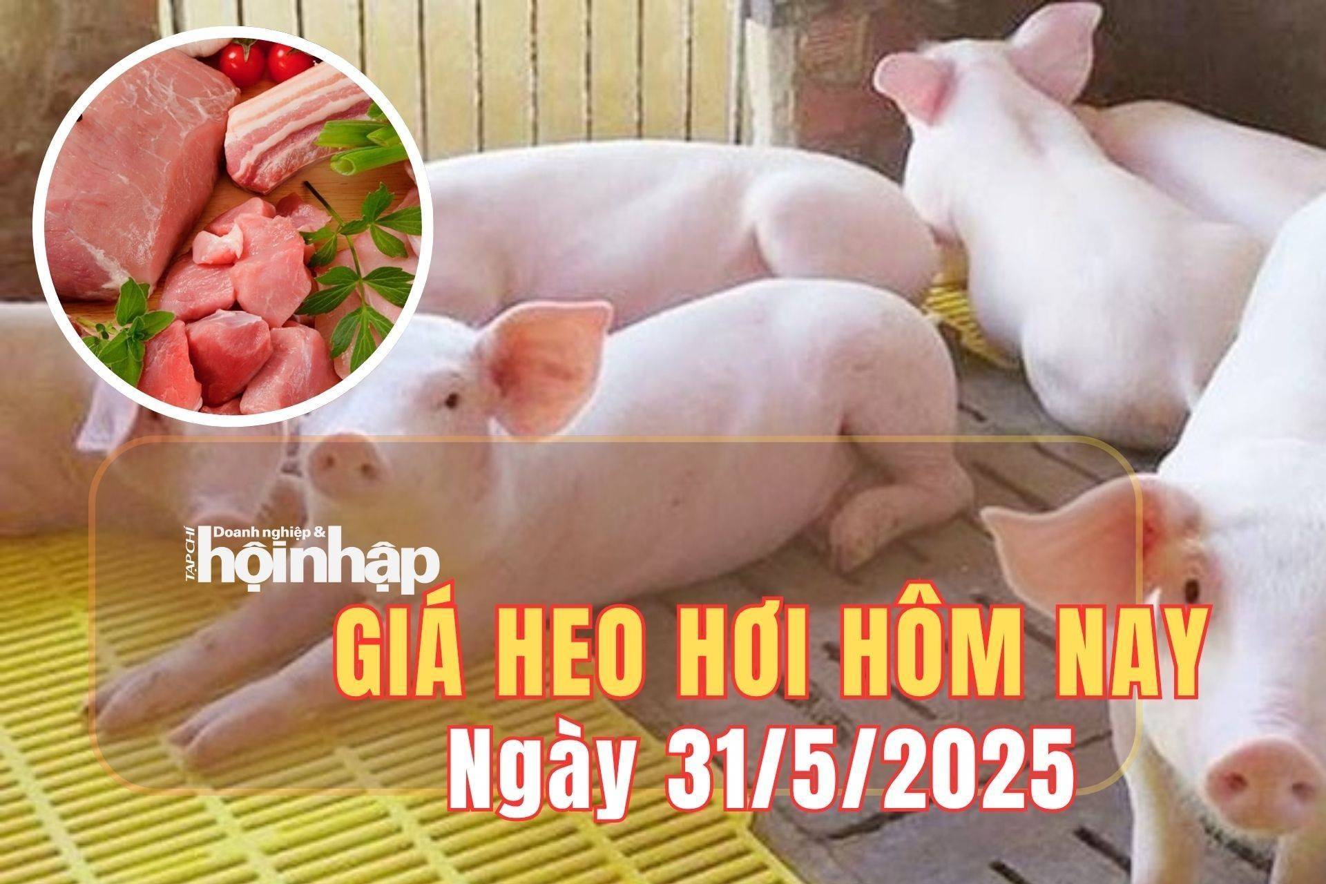 Giá heo hơi hôm nay 31/5/2025: Giá heo hơi duy trì ổn định trong phiên cuối tuần