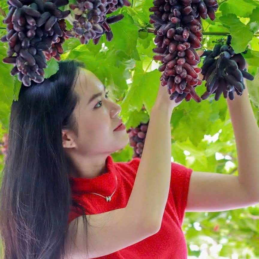 TP. Hồ Chí Minh: Sắp diễn ra Lễ hội Trái cây Nam Bộ lần thứ 21