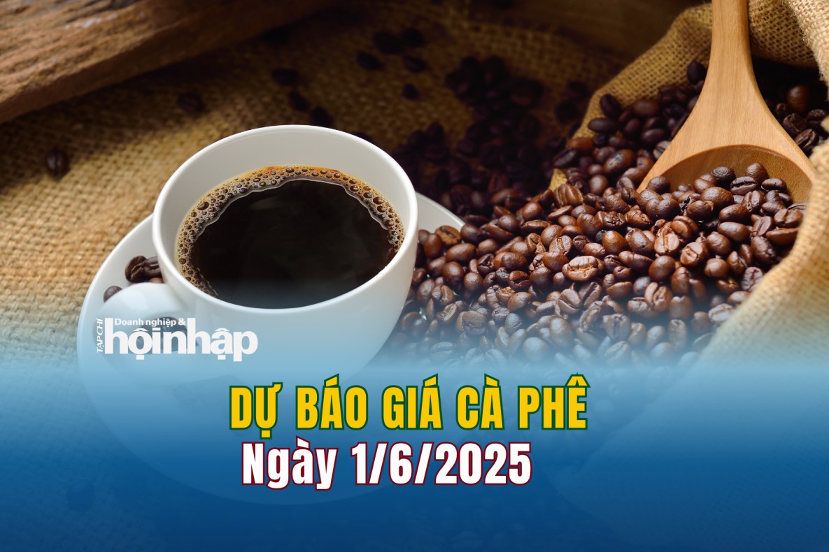 Dự báo giá cà phê 1/6: Giá cà phê trong nước tiếp tục xu hướng giảm
