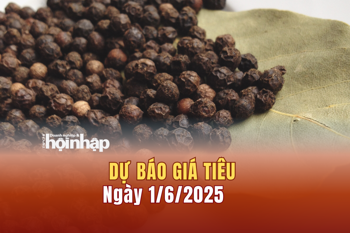 Dự báo giá tiêu 1/6/2025