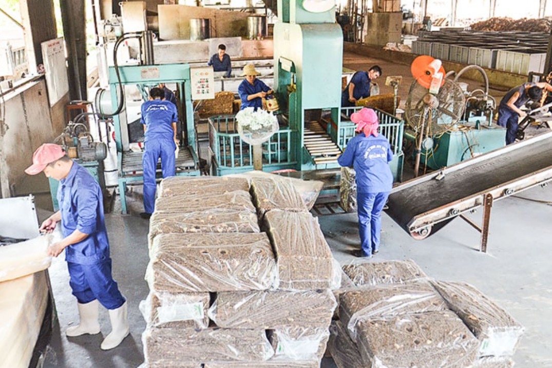 Quảng Trị tăng tốc chuyển đổi số trong lĩnh vực thương mại