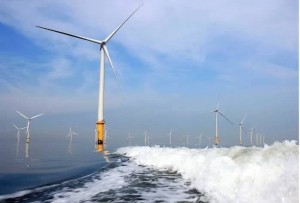 Điện gió ngoài khơi nhưng "mắc kẹt" trên bờ