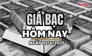 Giá bạc hôm nay 1/6/2025: Giá bạc trong nước biến động nhẹ, thế giới duy trì ổn định