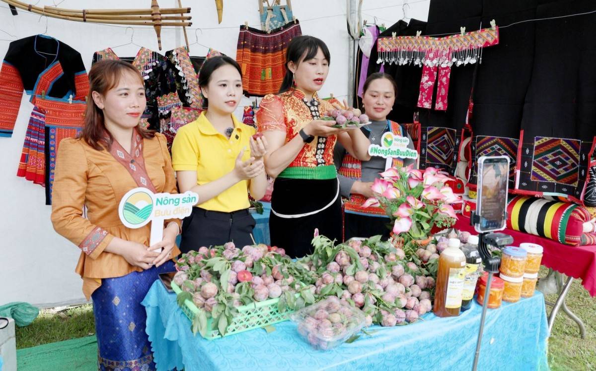 Sơn La đẩy mạnh tiêu dùng, phát triển thương mại gắn với chuyển đổi số