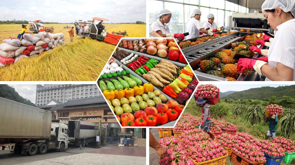 Chủ động thị trường, kiểm soát dòng hàng: Gỡ nút thắt cho xuất khẩu nông sản Việt