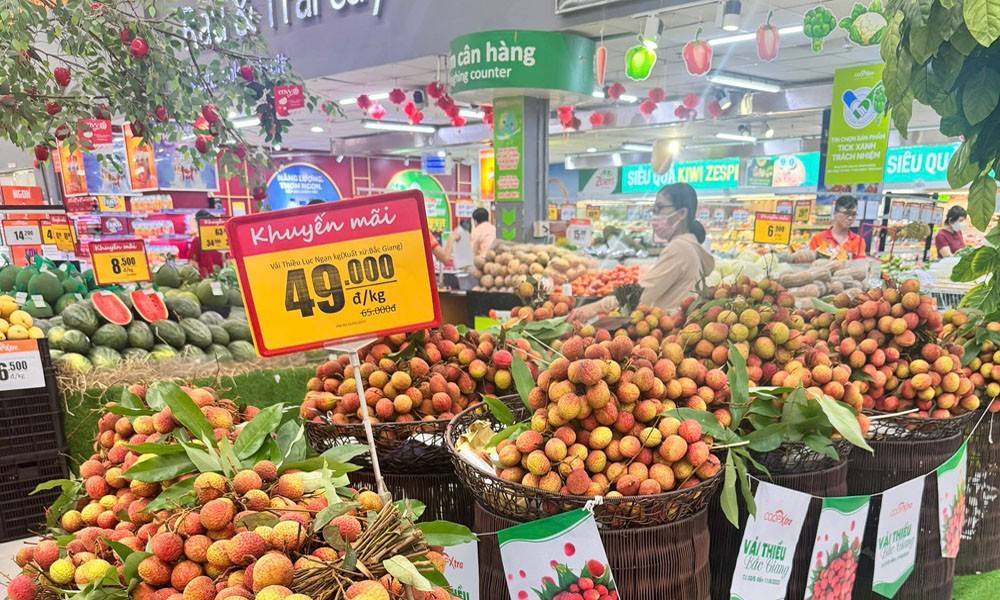 Nông sản vào vụ: Vai trò của Bộ Công Thương ở đâu để khơi thông? Nông sản vào vụ: Vai trò của Bộ Công Thương ở đâu để khơi thông?