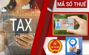 Từ 1/7/2025, sử dụng số định danh cá nhân thay cho mã số thuế