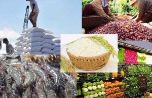 Tháng 5: Kim ngạch xuất khẩu nông lâm thủy sản ước đạt 6,28 tỷ USD