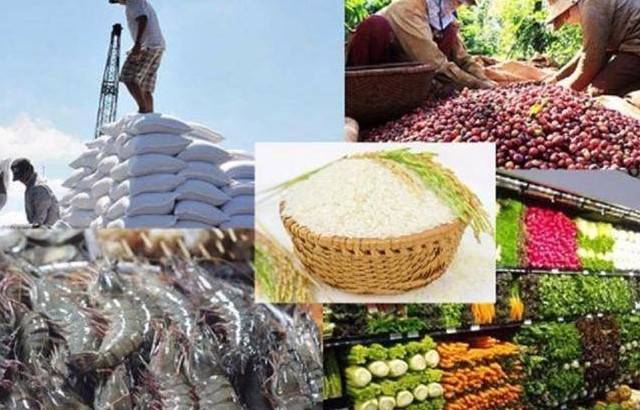 Tháng 5: Kim ngạch xuất khẩu nông lâm thủy sản ước đạt 6,28 tỷ USD