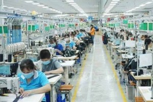 BHXH Việt Nam siết chặt truy thu nợ bảo hiểm, hàng trăm tỷ đồng được thu hồi