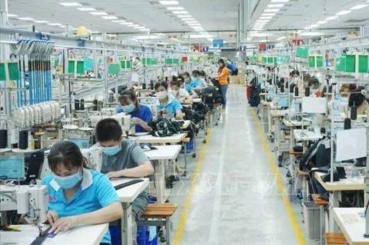 BHXH Việt Nam siết chặt truy thu nợ bảo hiểm, hàng trăm tỷ đồng được thu hồi