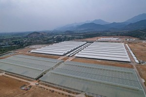 Vĩnh Phúc đẩy mạnh phát triển ngành chế biến thực phẩm bền vững
