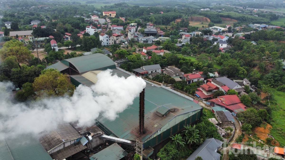 Phú Thọ: Yêu cầu Công ty KD Wood dừng sản xuất viên nén gỗ do vi phạm môi trường