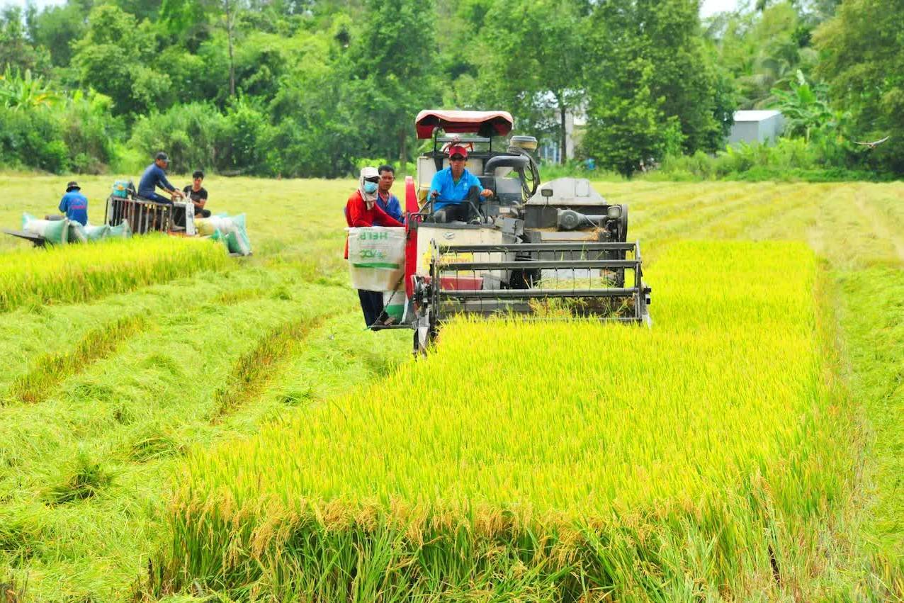 “Gạo Việt xanh phát thải thấp” chính thức chinh phục thị trường Nhật