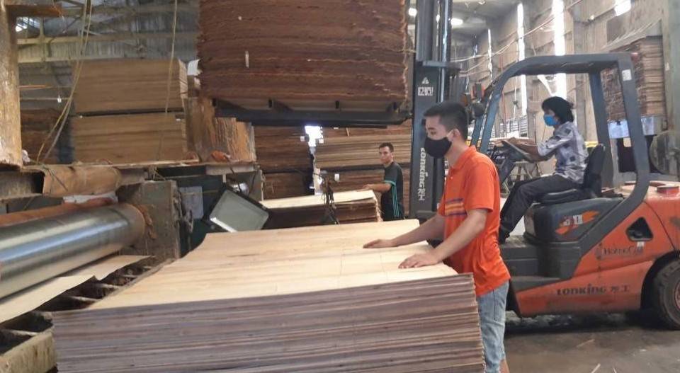 Gỗ dán Việt Nam tiếp tục bị điều tra: Doanh nghiệp đối phó thế nào?