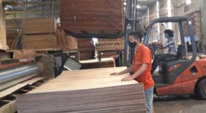 Gỗ dán Việt Nam tiếp tục bị điều tra: Doanh nghiệp đối phó thế nào?