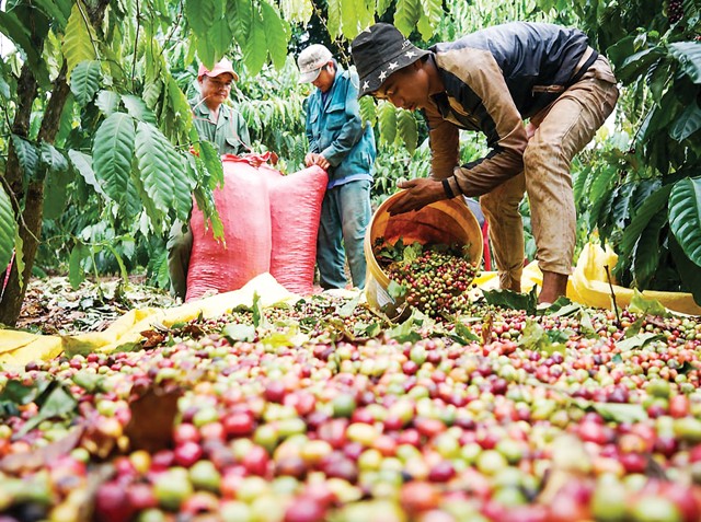 Tháng 5/2025: Xuất siêu 4,67 tỷ USD