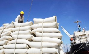 Gạo Việt vào Trung Quốc tăng tốc: Doanh nghiệp cần lưu ý gì?