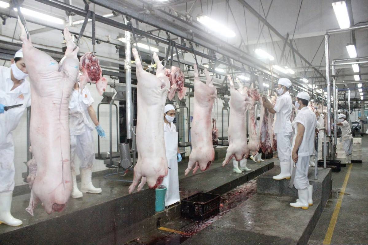 C.P Việt Nam bị “gọi tên” giữa loạt sai phạm: Bộ Nông nghiệp và Môi trường chấn chỉnh hoạt động giết mổ động vật trên toàn quốc