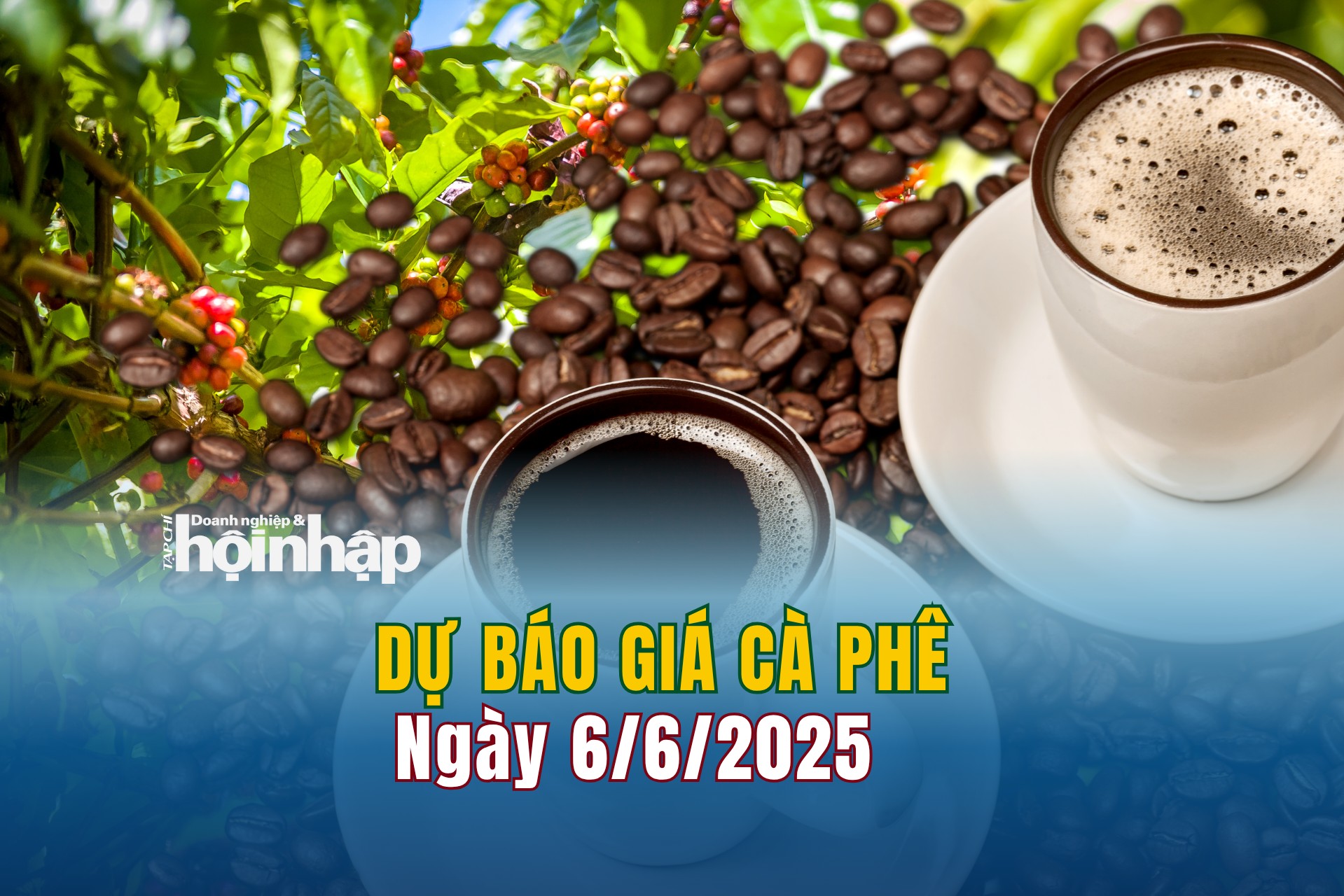 Dự báo giá cà phê 6/6: Giá cà phê trong nước có xu hướng tăng nhẹ