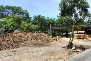 Nghị quyết số 68 -NQ/TW: Doanh nghiệp Thanh Hóa kỳ vọng vào chuyển biến thực chất