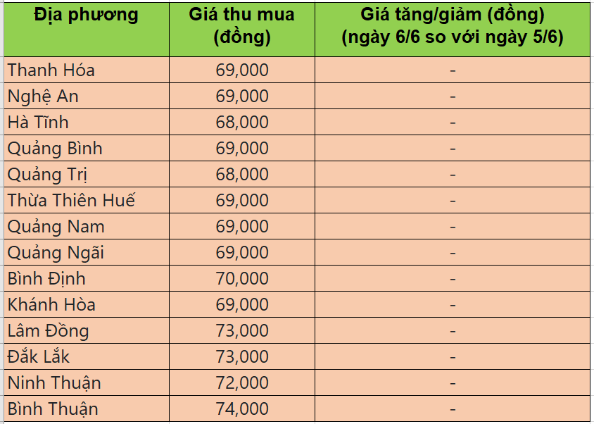 Bảng giá heo hơi tại miền Trung - Tây nguyên hôm nay 6/6/2025