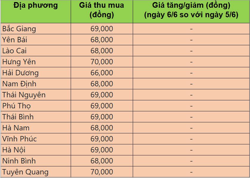 Bảng giá heo hơi tại miền Băc hôm nay 6/6/2025