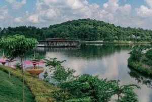 LAMORI – dấu ấn Lam Kinh trong từng hơi thở